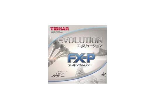 Tibhar Evolution FXP